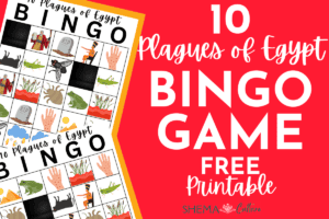 Ten Plagues of Egypt Bingo Game