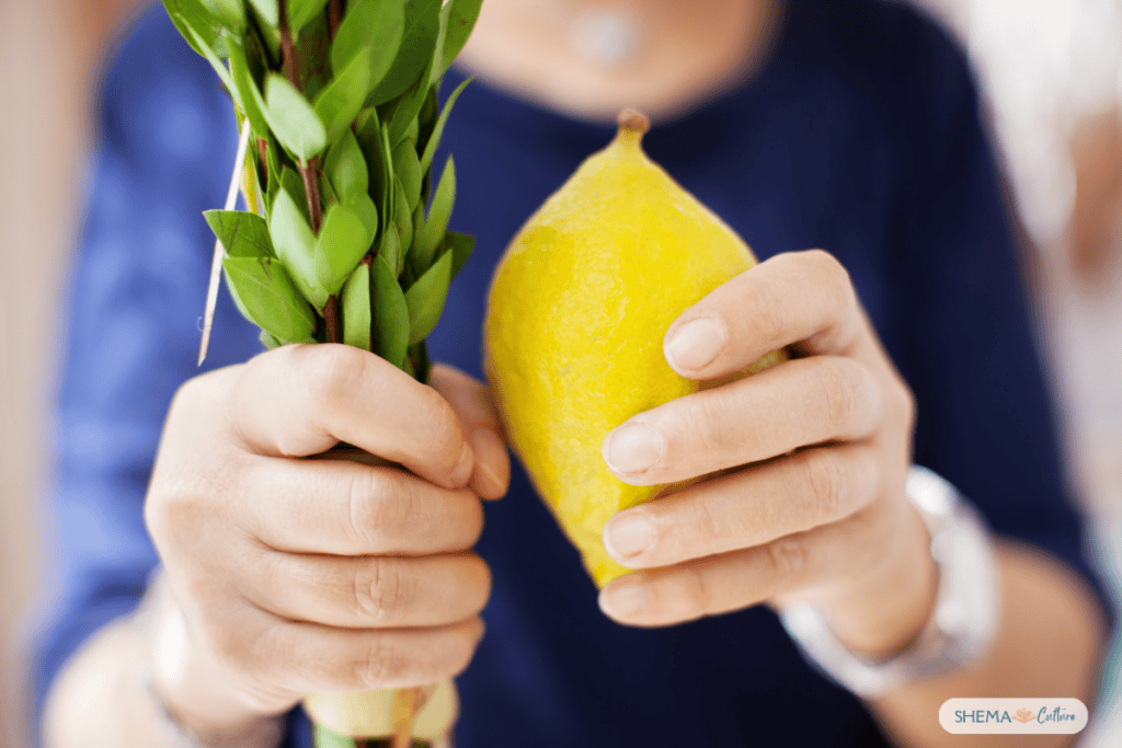 Sukkot activity page for kids